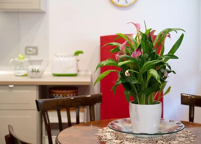 Casa Bouganville - St. Peter Romantic Daire *